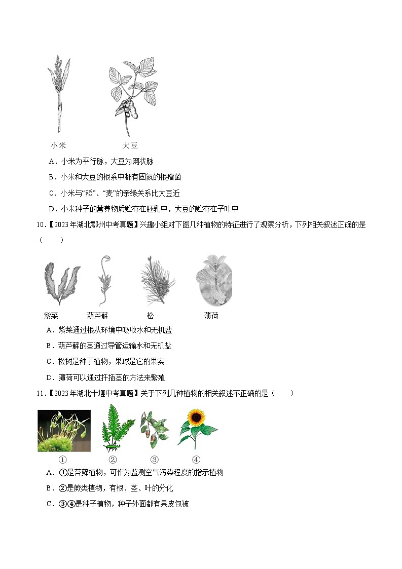 2024年中考生物真题分项汇编（全国通用）-专题11 植物、动物和微生物类群（原卷版）第2页
