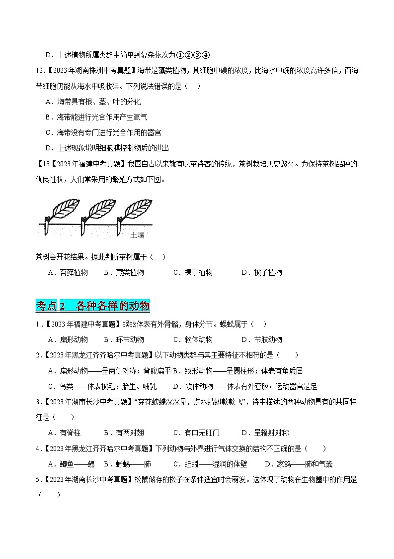 2024年中考生物真题分项汇编（全国通用）-专题11 植物、动物和微生物类群（原卷版）第3页
