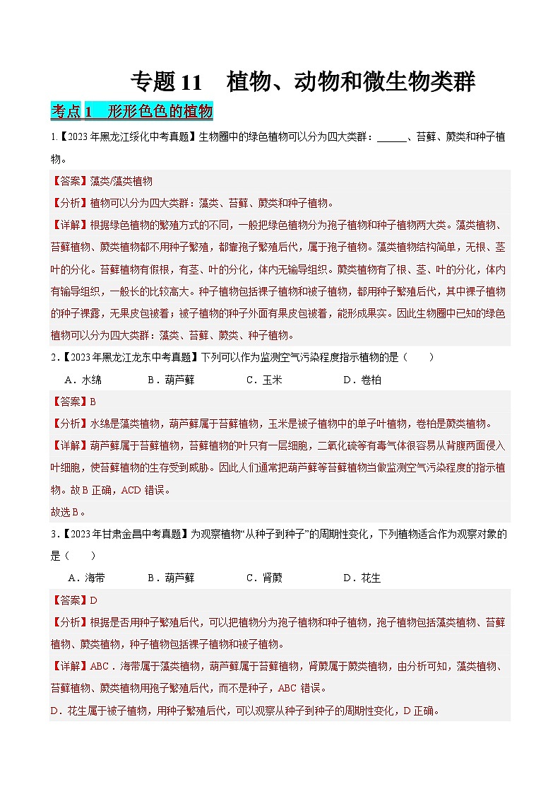 2024年中考生物真题分项汇编（全国通用）-专题11 植物、动物和微生物类群（解析版）第1页
