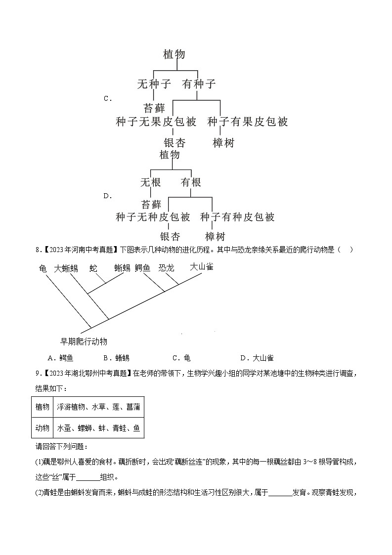 2024年中考生物真题分项汇编（全国通用）-专题12 生物的分类、进化和多样性保护（原卷版）第3页