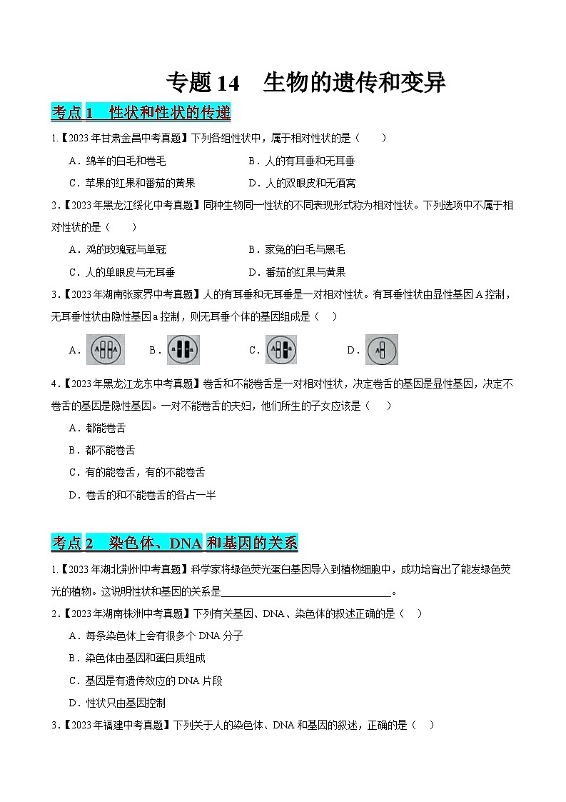 2024年中考生物真题分项汇编（全国通用）-专题14 生物的遗传和变异（原卷版+解析版）01