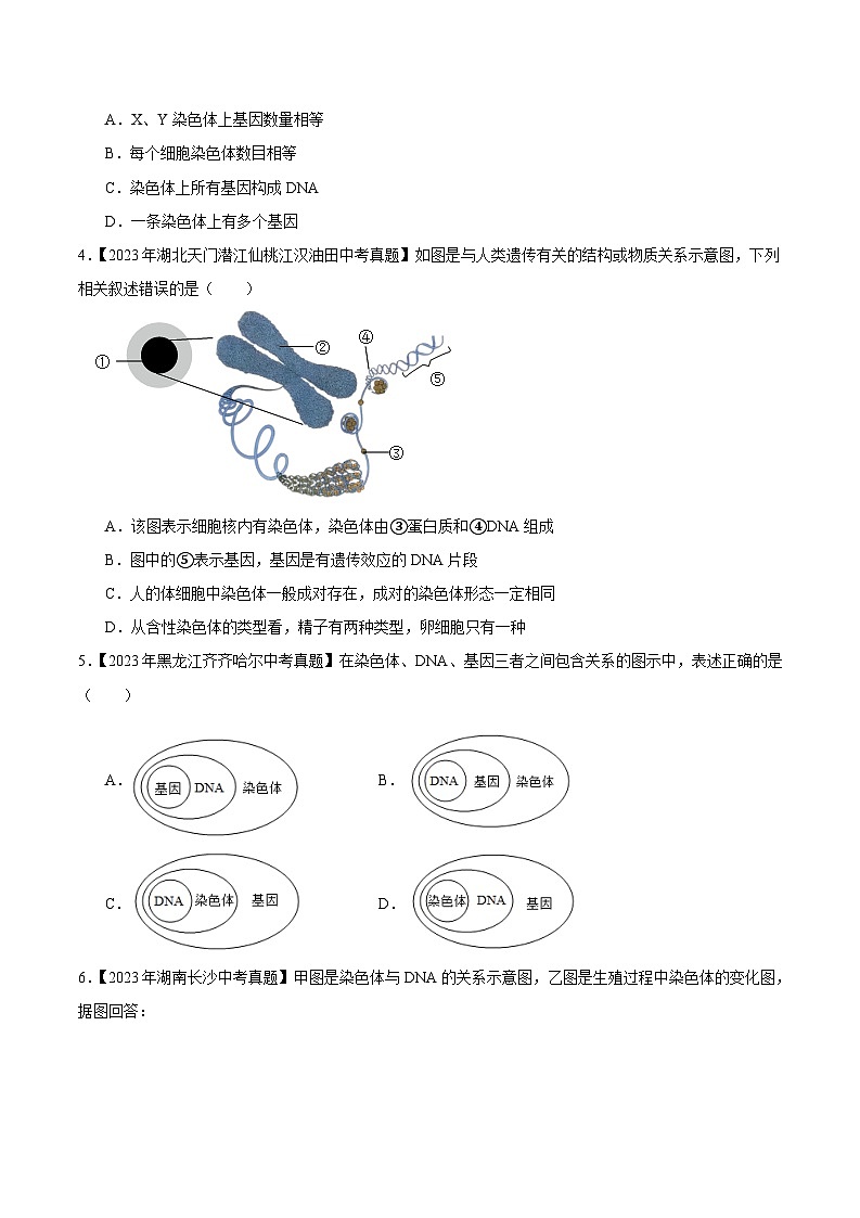 2024年中考生物真题分项汇编（全国通用）-专题14 生物的遗传和变异（原卷版+解析版）02