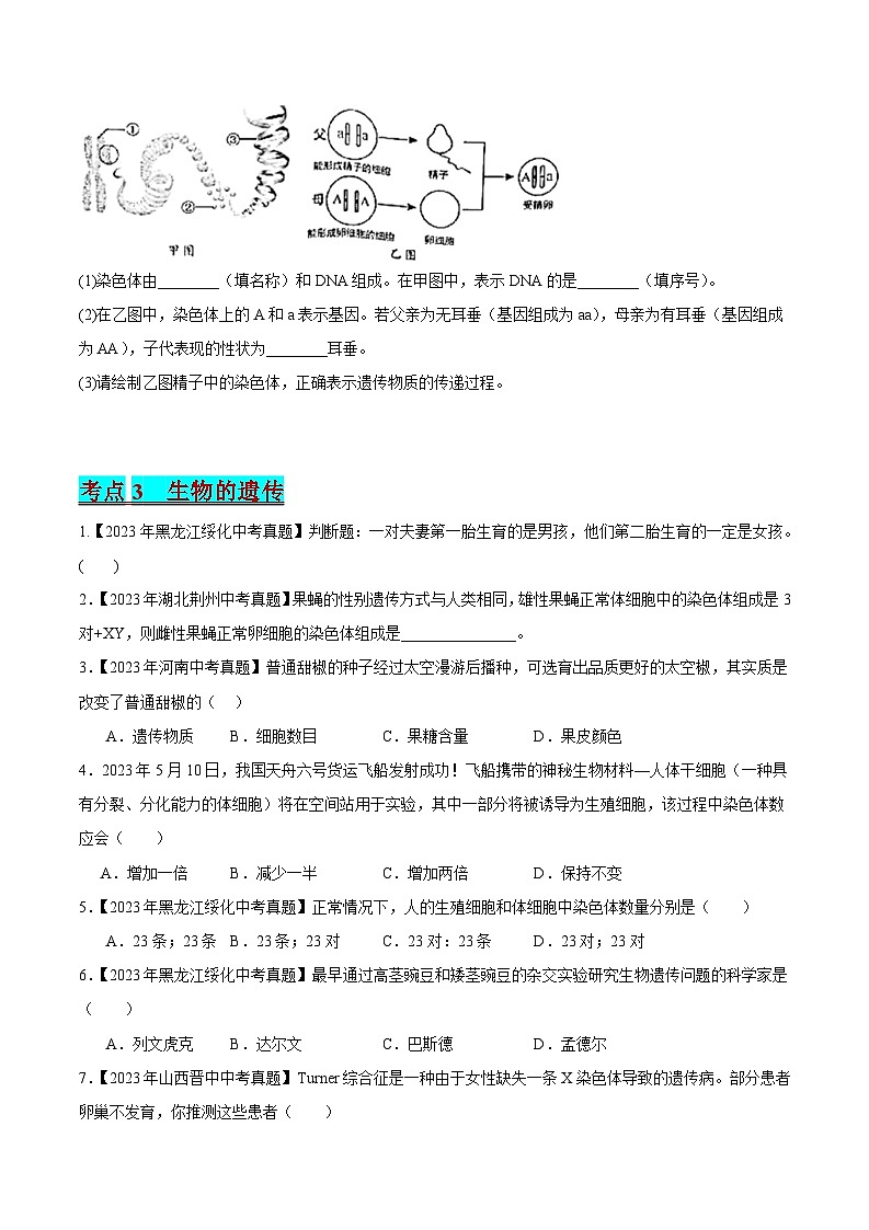 2024年中考生物真题分项汇编（全国通用）-专题14 生物的遗传和变异（原卷版+解析版）03