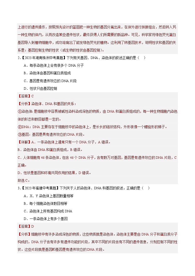 2024年中考生物真题分项汇编（全国通用）-专题14 生物的遗传和变异（原卷版+解析版）03