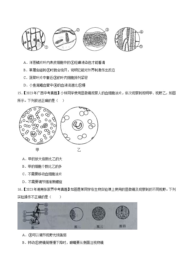 2024年中考生物真题分项汇编（全国通用）-专题17 实验（原卷版）第3页