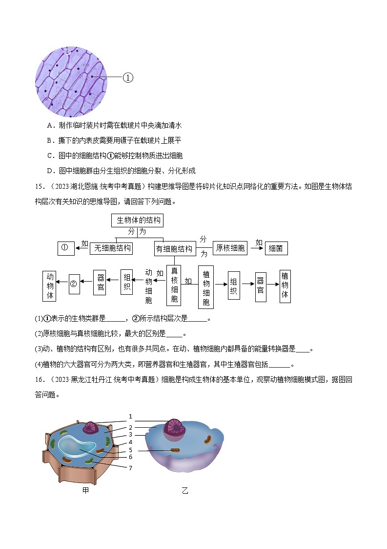 2024年中考生物真题分项汇编（全国通用）-专题02 生物体的结构层次（原卷版）第3页