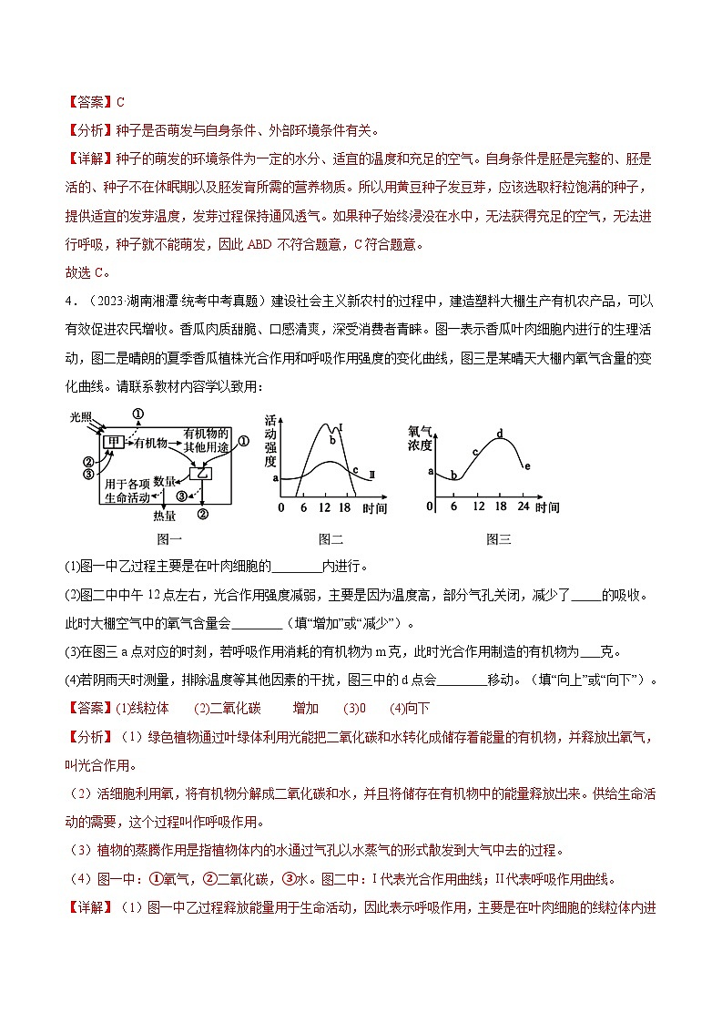 2024年中考生物真题分项汇编（全国通用）-专题03 绿色开花植物的一生（原卷版+解析版）03
