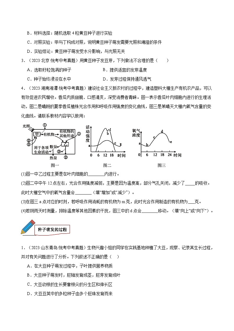 2024年中考生物真题分项汇编（全国通用）-专题03 绿色开花植物的一生（原卷版+解析版）02