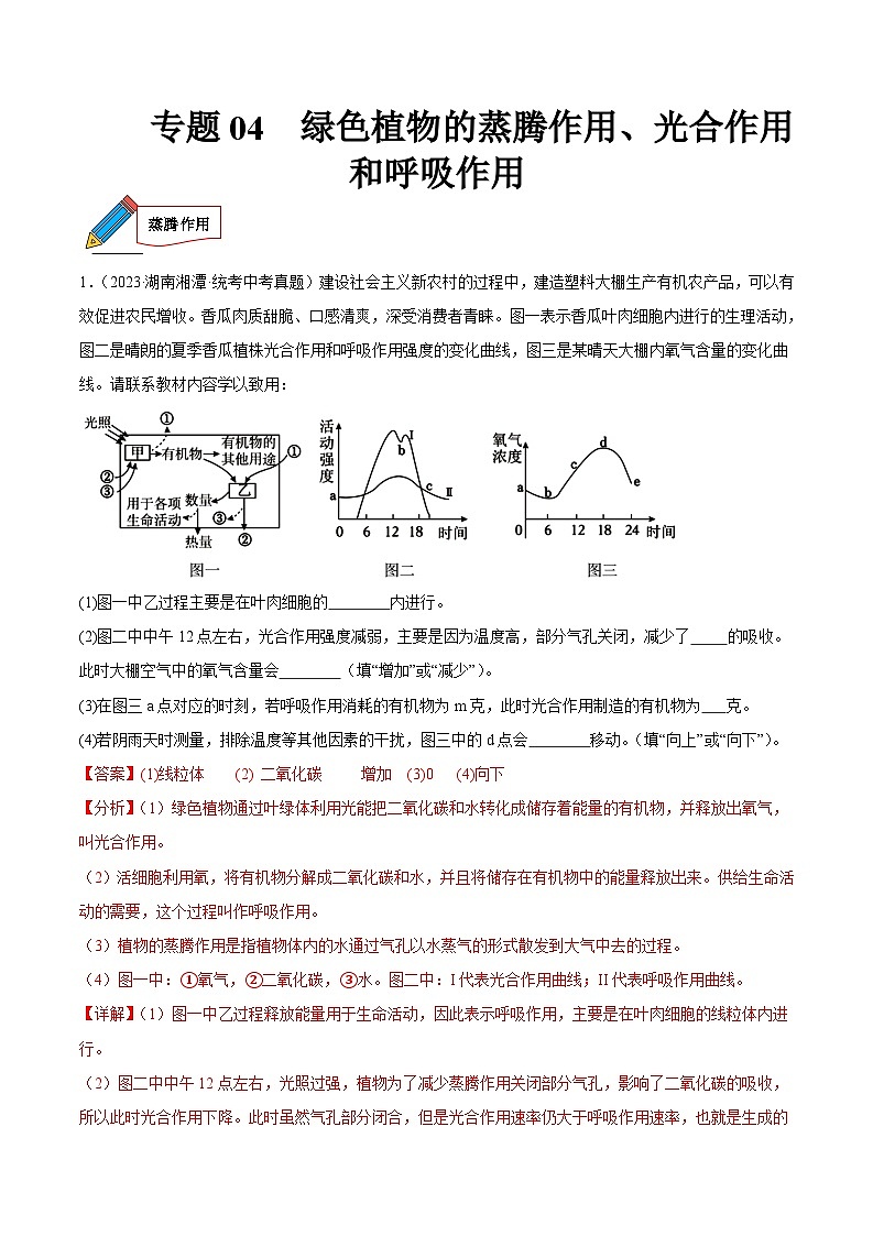 2024年中考生物真题分项汇编（全国通用）-专题04 绿色植物的蒸腾作用、光合作用和呼吸作用（解析版）第1页