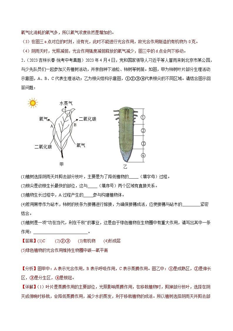 2024年中考生物真题分项汇编（全国通用）-专题04 绿色植物的蒸腾作用、光合作用和呼吸作用（解析版）第2页