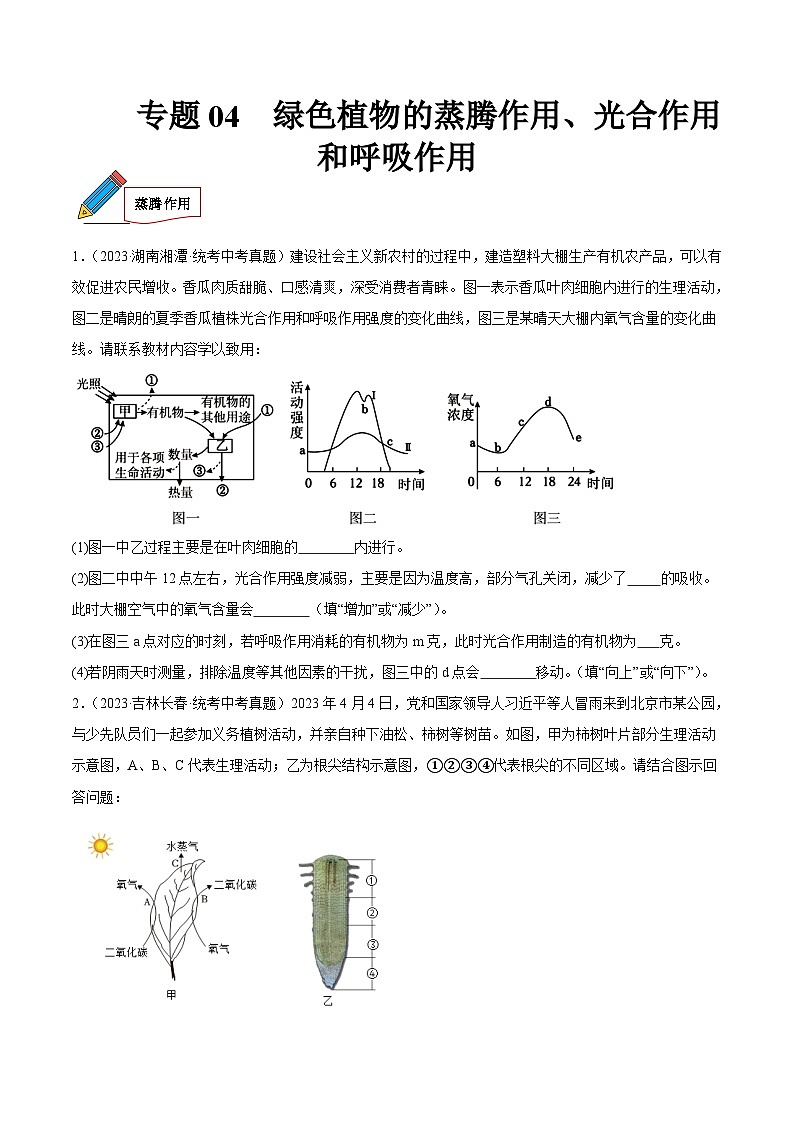 2024年中考生物真题分项汇编（全国通用）-专题04 绿色植物的蒸腾作用、光合作用和呼吸作用（原卷版）第1页