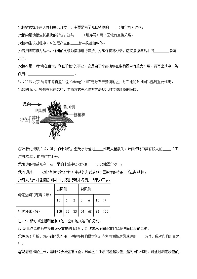 2024年中考生物真题分项汇编（全国通用）-专题04 绿色植物的蒸腾作用、光合作用和呼吸作用（原卷版）第2页