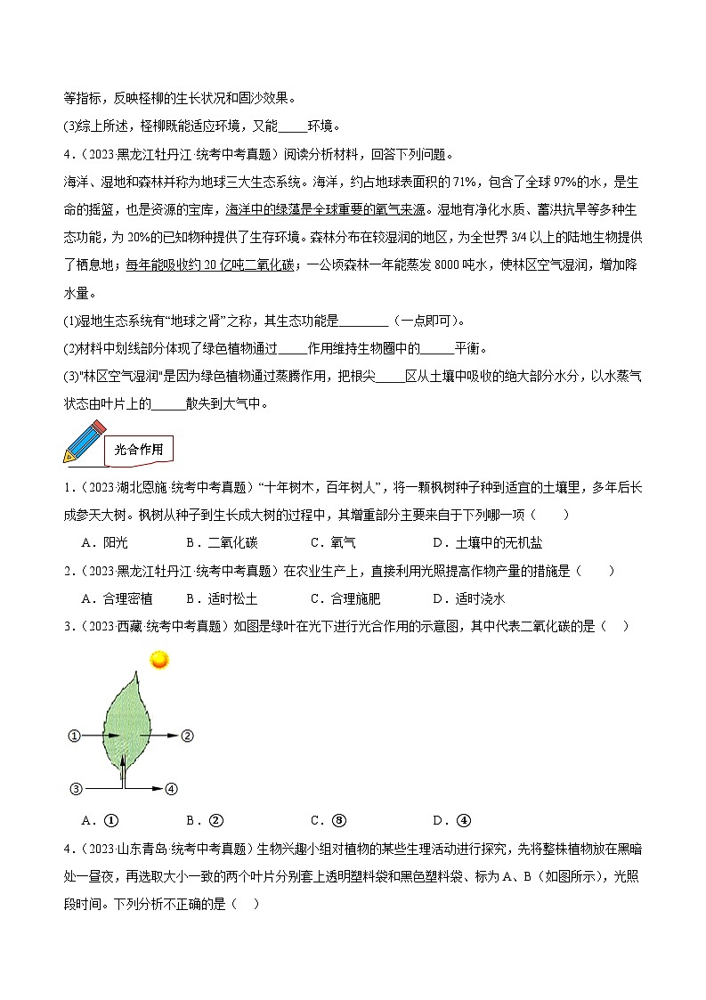 2024年中考生物真题分项汇编（全国通用）-专题04 绿色植物的蒸腾作用、光合作用和呼吸作用（原卷版）第3页