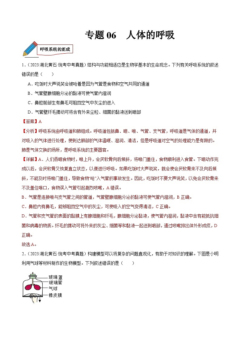 2024年中考生物真题分项汇编（全国通用）-专题06 人体的呼吸（原卷版+解析版）01