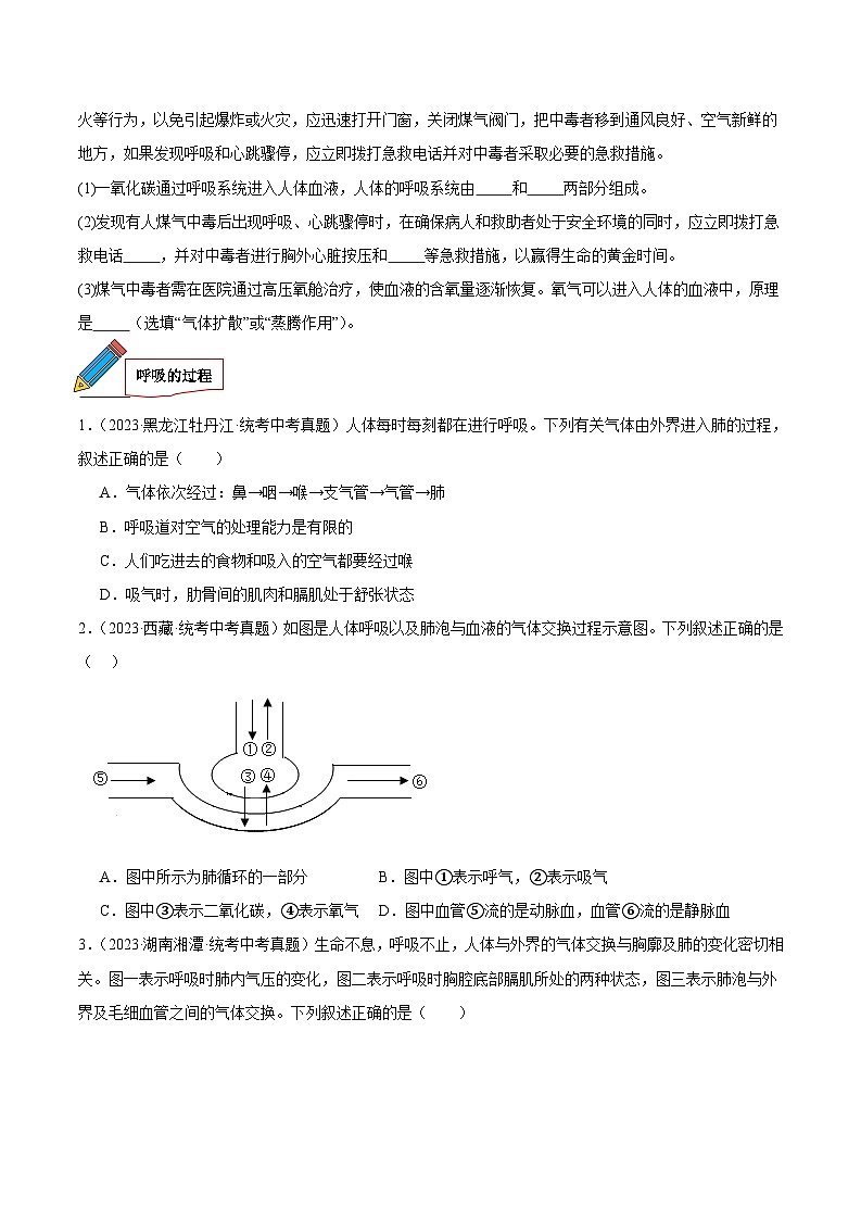 2024年中考生物真题分项汇编（全国通用）-专题06 人体的呼吸（原卷版+解析版）02