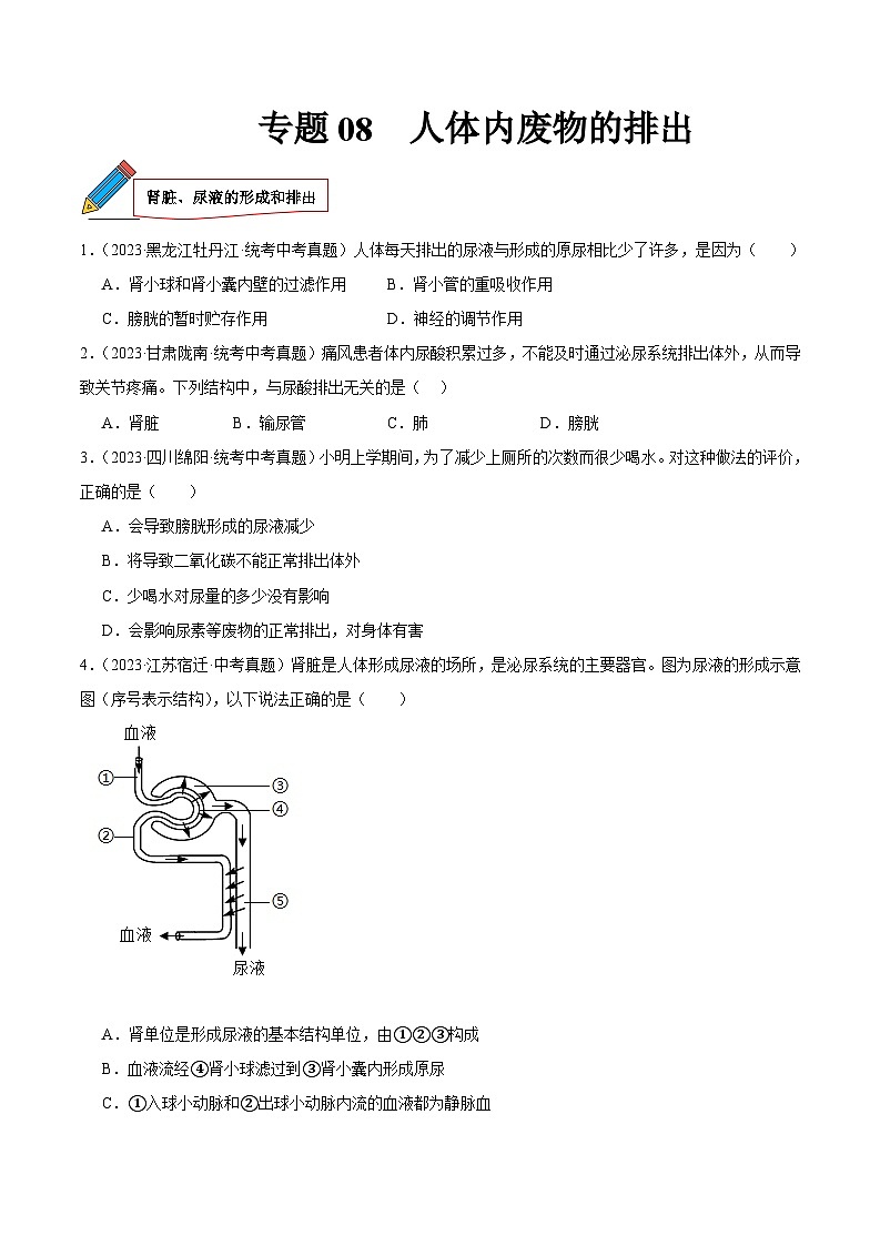 2024年中考生物真题分项汇编（全国通用）-专题08 人体内废物的排出（原卷版+解析版）01