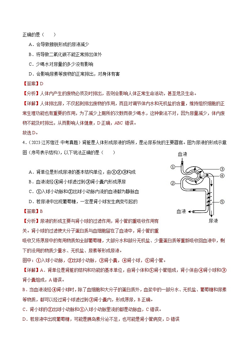 2024年中考生物真题分项汇编（全国通用）-专题08 人体内废物的排出（原卷版+解析版）02