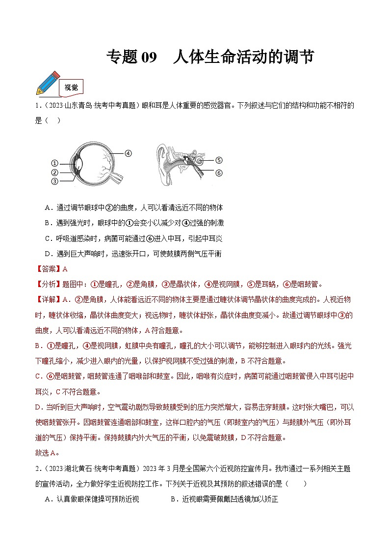 2024年中考生物真题分项汇编（全国通用）-专题09 人体生命活动的调节（原卷版+解析版）01