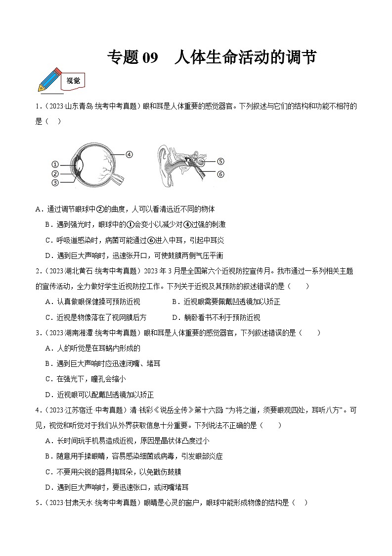 2024年中考生物真题分项汇编（全国通用）-专题09 人体生命活动的调节（原卷版+解析版）01