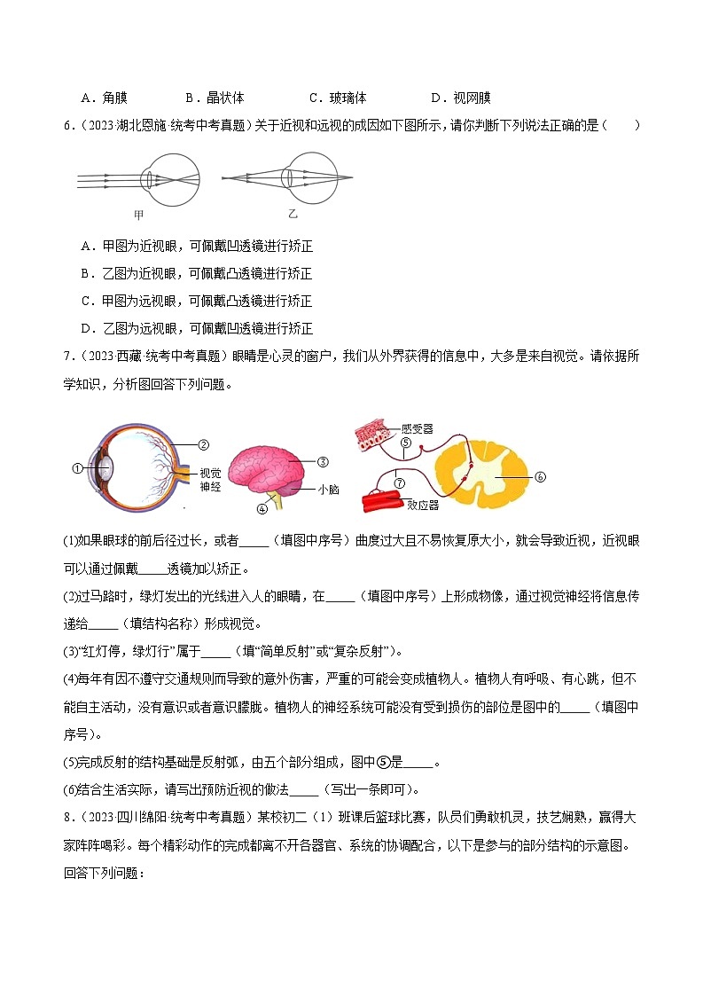 2024年中考生物真题分项汇编（全国通用）-专题09 人体生命活动的调节（原卷版+解析版）02