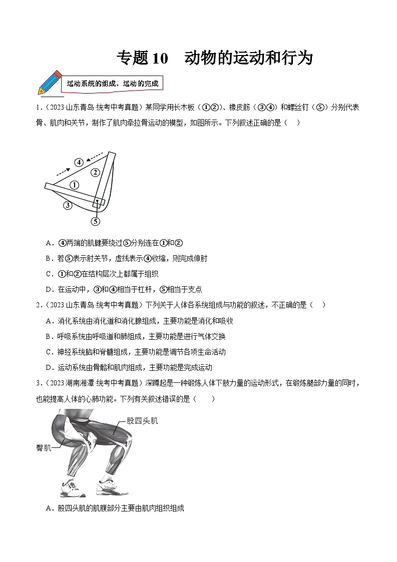 2024年中考生物真题分项汇编（全国通用）-专题10 动物的运动和行为（原卷版+解析版）01