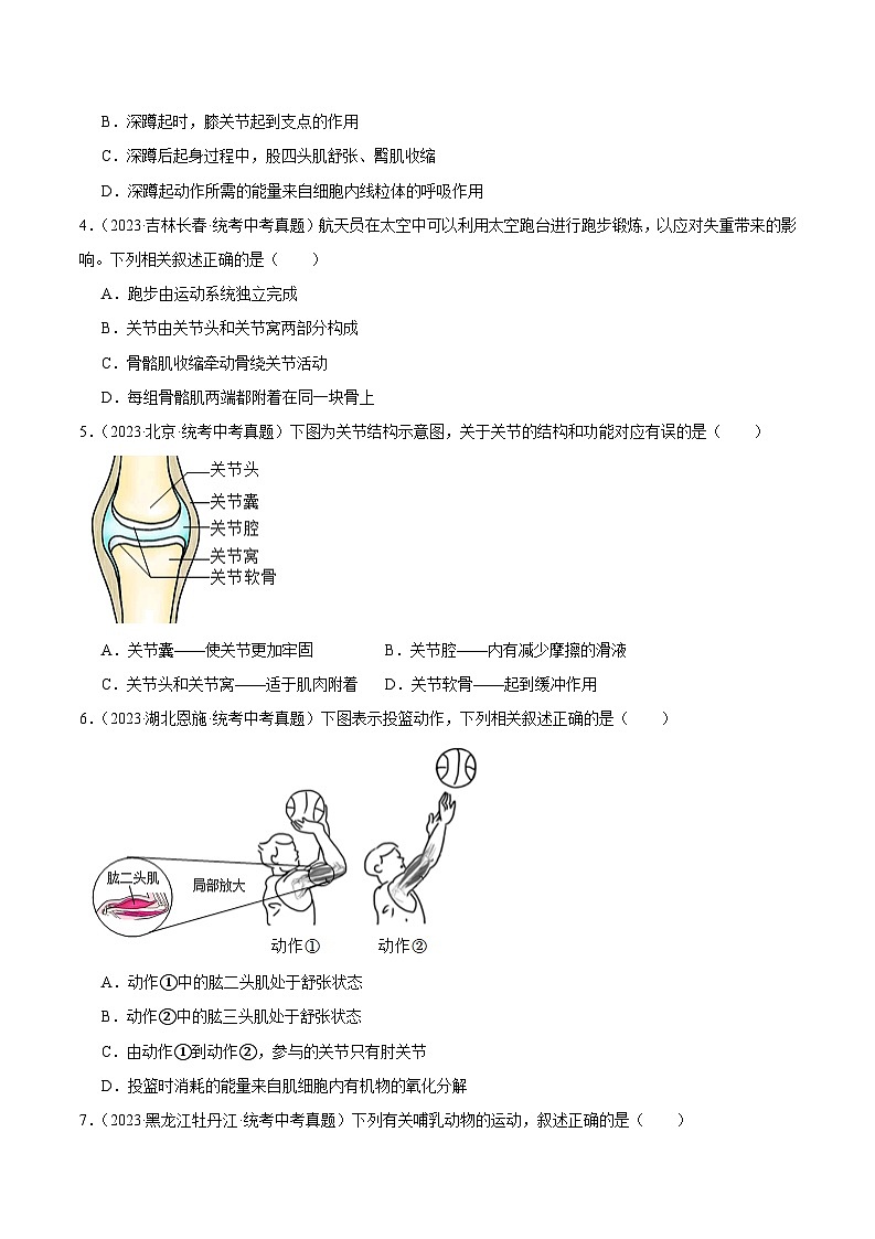 2024年中考生物真题分项汇编（全国通用）-专题10 动物的运动和行为（原卷版+解析版）02