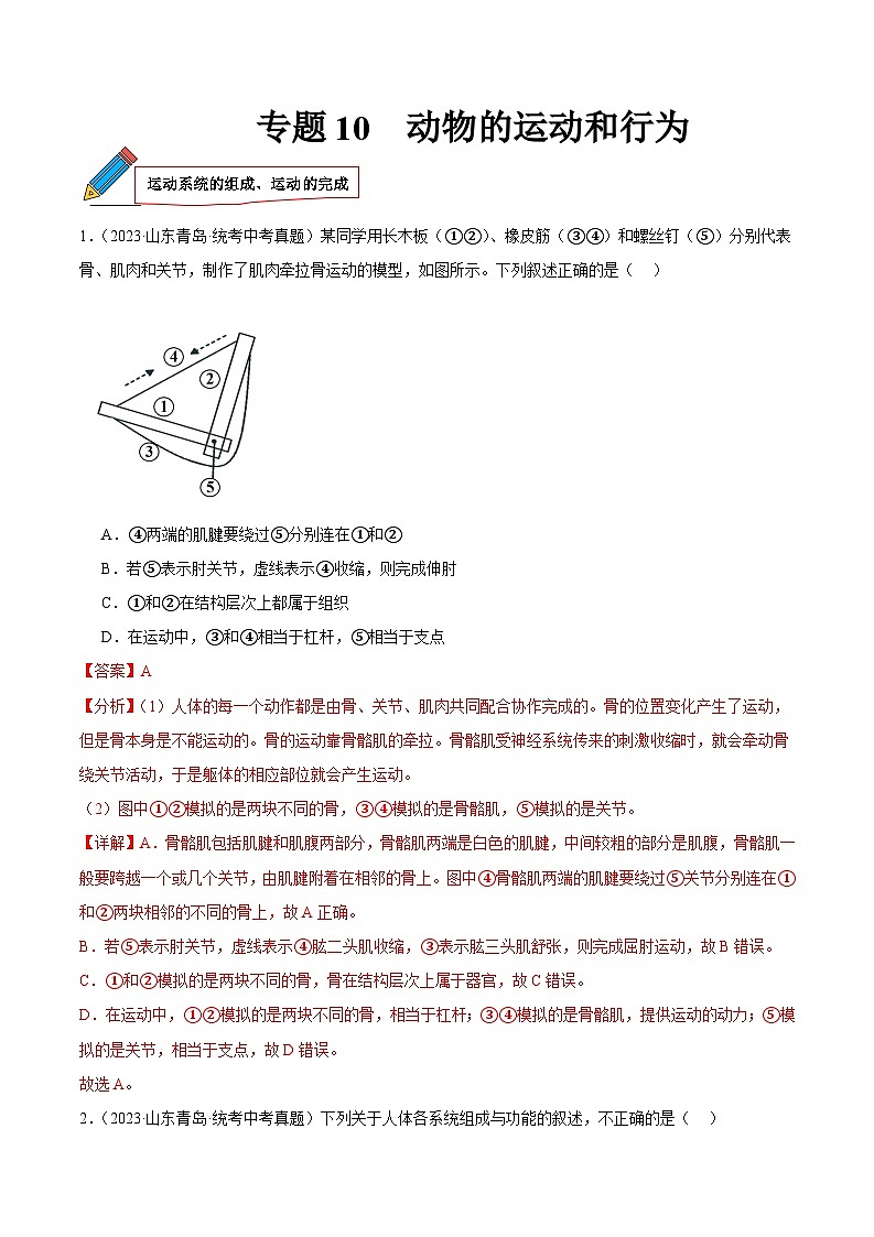 2024年中考生物真题分项汇编（全国通用）-专题10 动物的运动和行为（原卷版+解析版）01