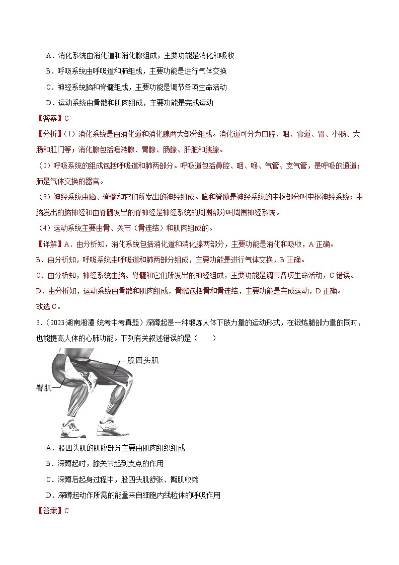 2024年中考生物真题分项汇编（全国通用）-专题10 动物的运动和行为（原卷版+解析版）02