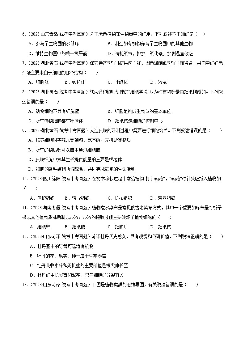 2024年中考生物真题分项汇编（全国通用）-专题11 植物、动物和微生物类群（原卷版+解析版）02