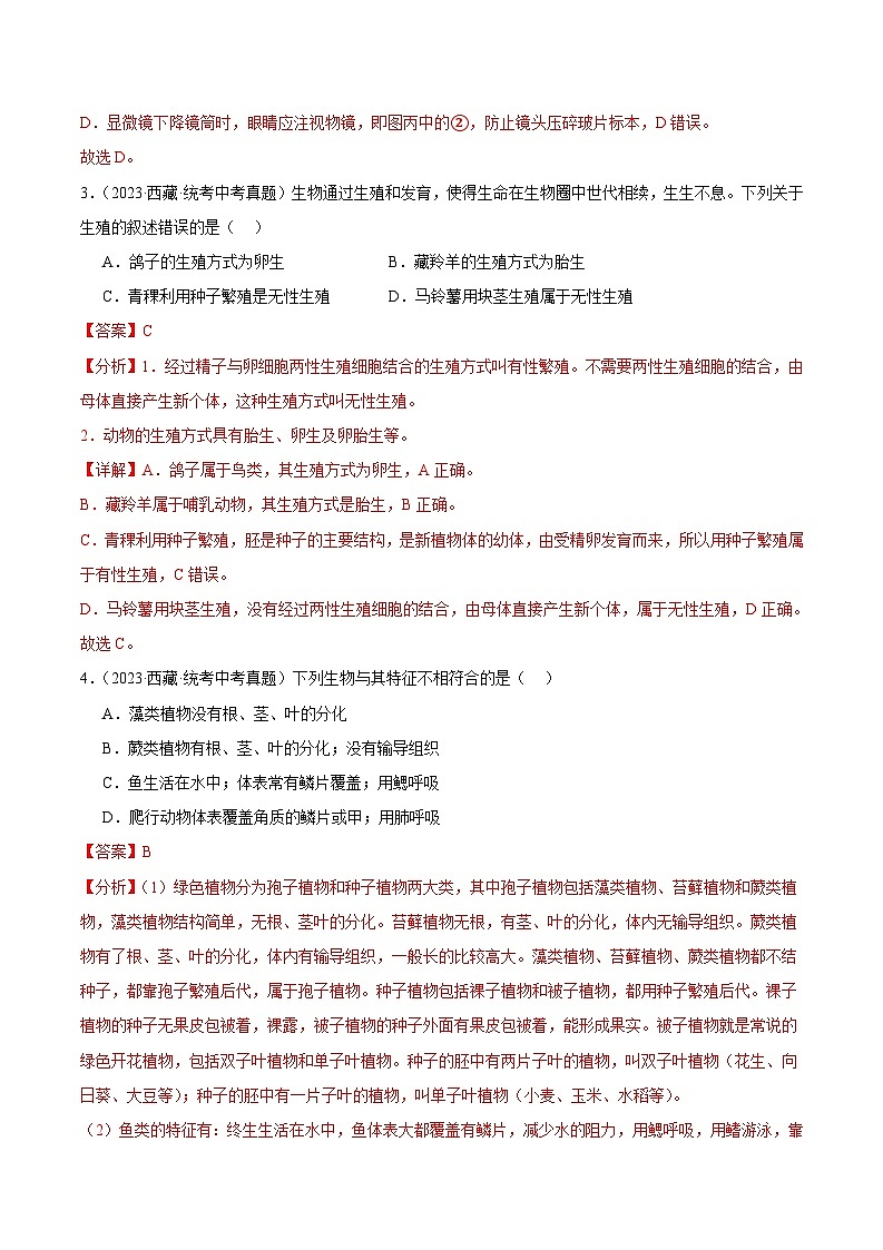 2024年中考生物真题分项汇编（全国通用）-专题11 植物、动物和微生物类群（原卷版+解析版）02