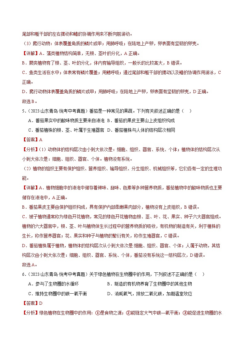 2024年中考生物真题分项汇编（全国通用）-专题11 植物、动物和微生物类群（原卷版+解析版）03