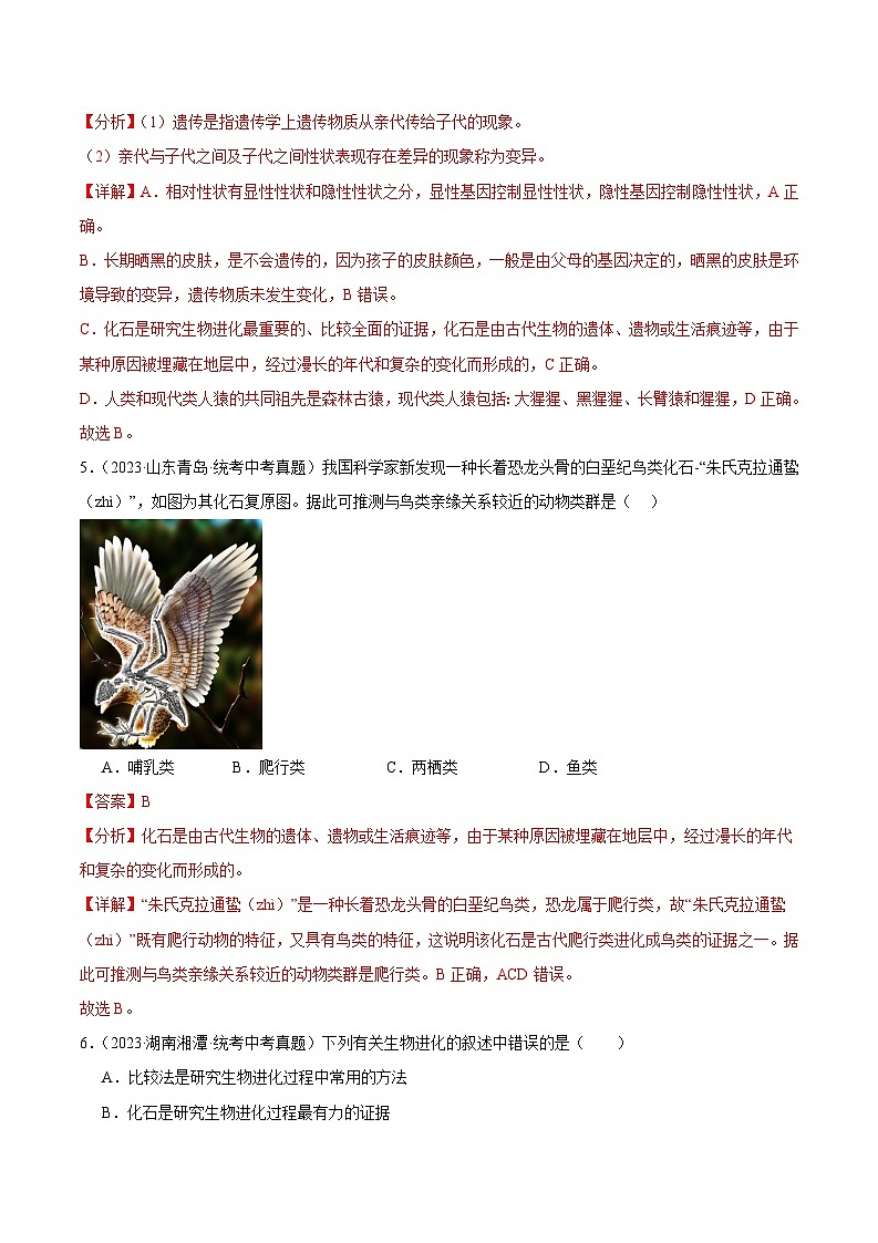 2024年中考生物真题分项汇编（全国通用）-专题12 生物的分类、进化和多样性保护（原卷版+解析版）03