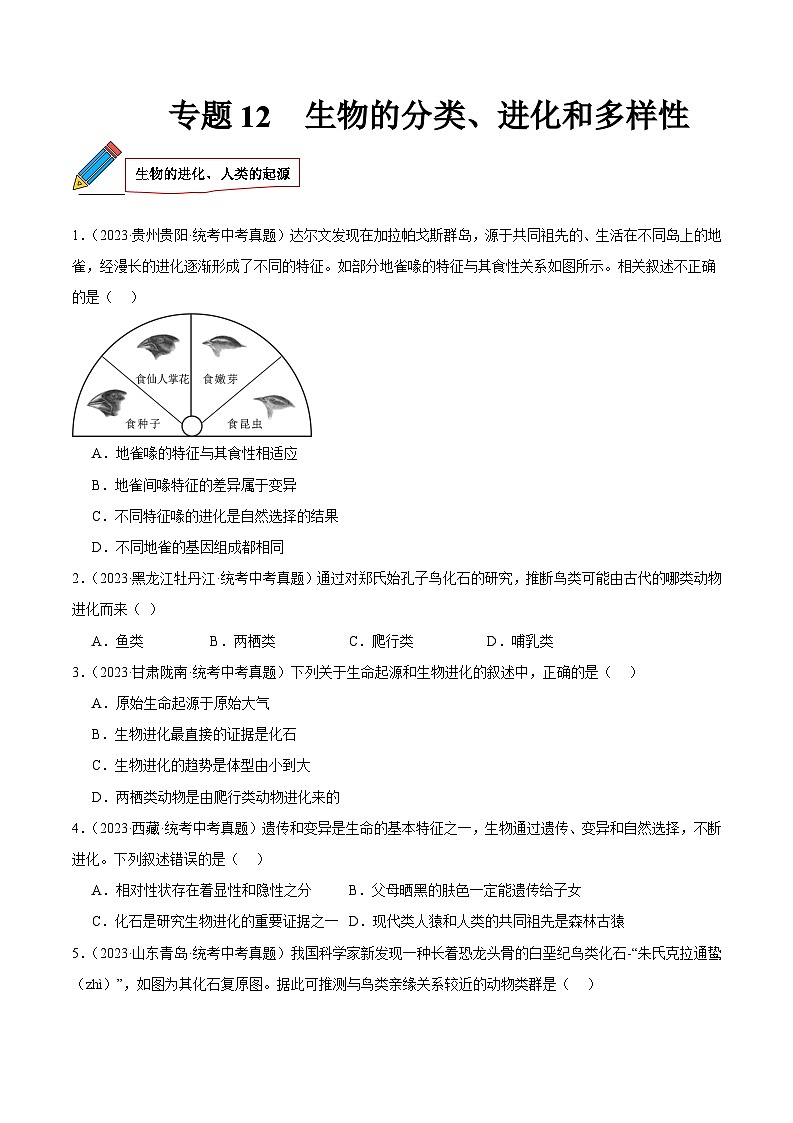 2024年中考生物真题分项汇编（全国通用）-专题12 生物的分类、进化和多样性保护（原卷版+解析版）01