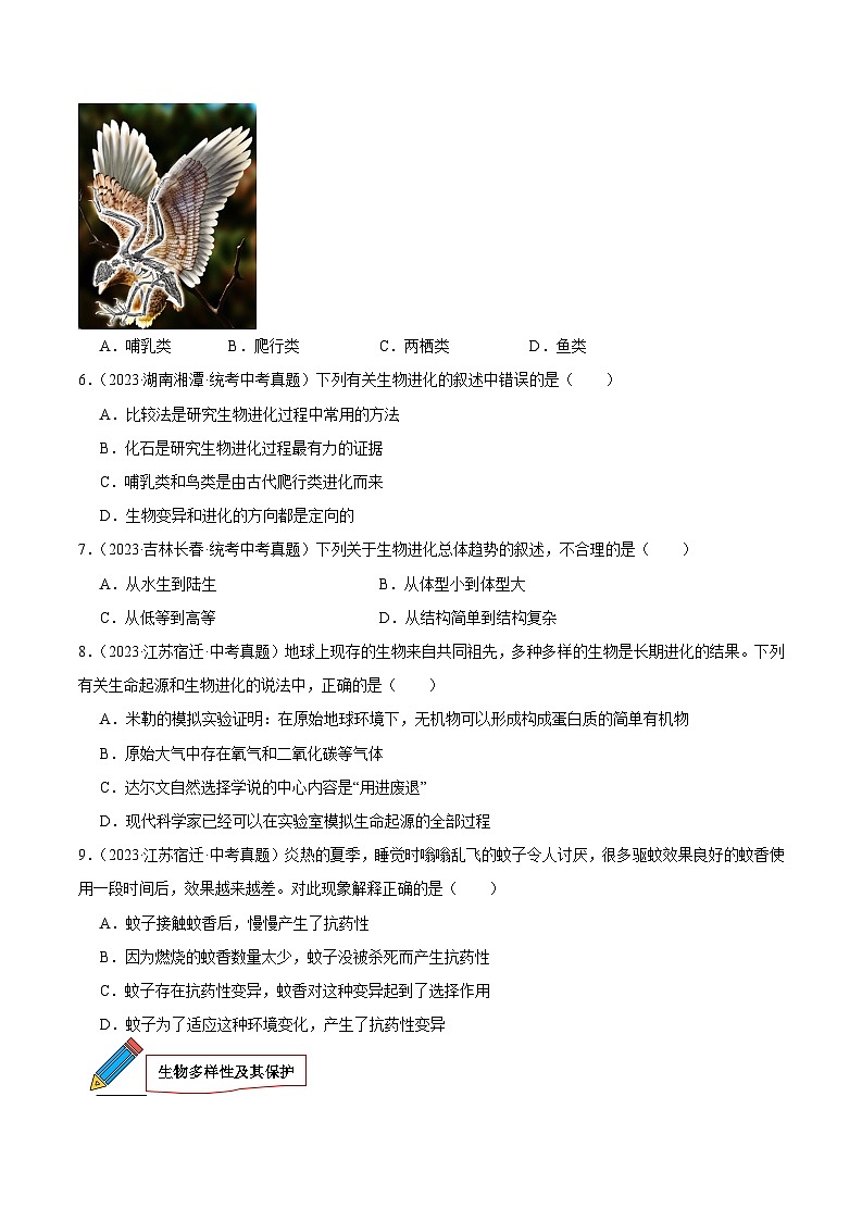 2024年中考生物真题分项汇编（全国通用）-专题12 生物的分类、进化和多样性保护（原卷版+解析版）02