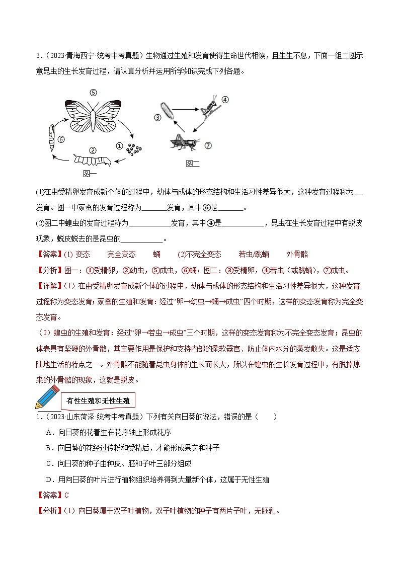 2024年中考生物真题分项汇编（全国通用）-专题13 生物的生殖和发育（原卷版+解析版）02