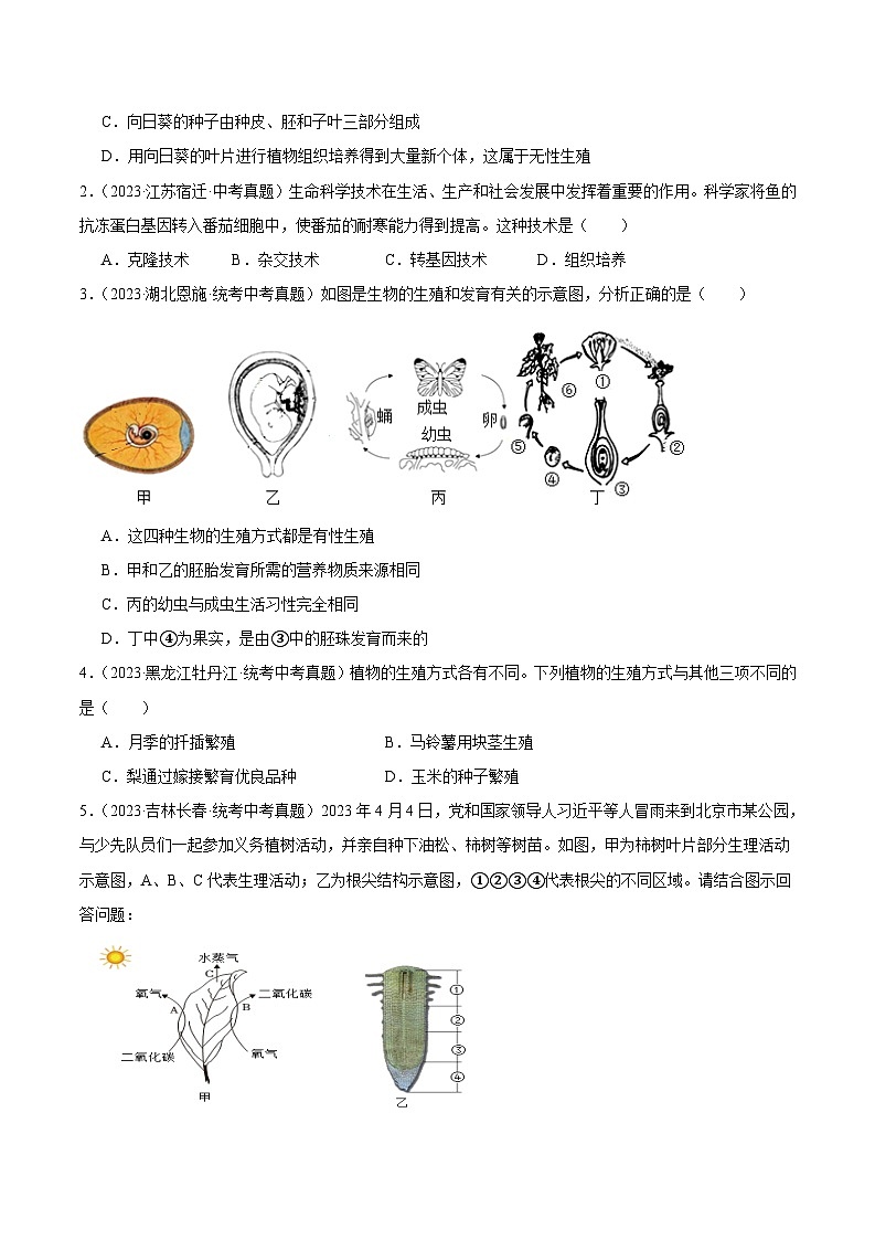 2024年中考生物真题分项汇编（全国通用）-专题13 生物的生殖和发育（原卷版+解析版）02