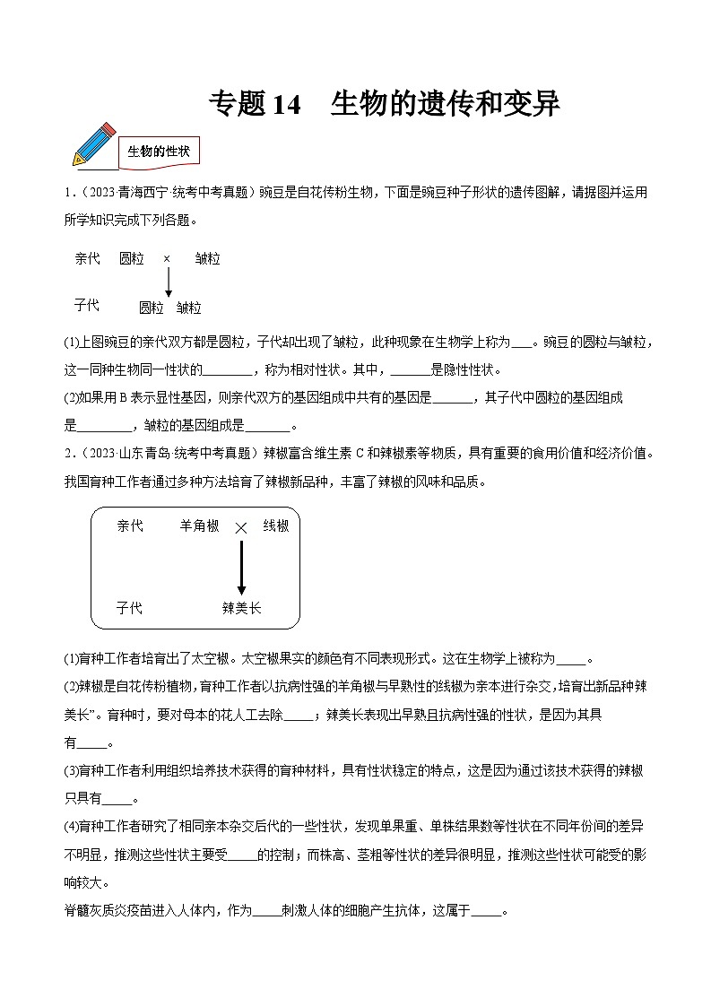 2024年中考生物真题分项汇编（全国通用）-专题14 生物的遗传和变异（原卷版+解析版）01