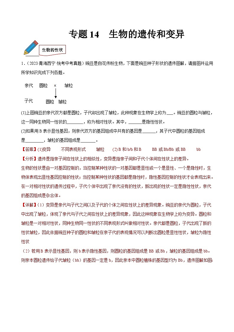 2024年中考生物真题分项汇编（全国通用）-专题14 生物的遗传和变异（原卷版+解析版）01