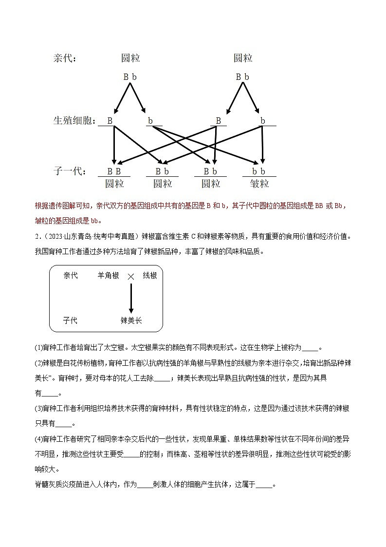 2024年中考生物真题分项汇编（全国通用）-专题14 生物的遗传和变异（原卷版+解析版）02