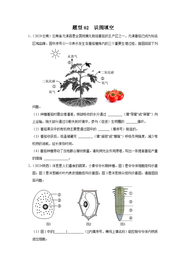2024年会考生物真题题源解密（全国通用）-题型02 识图填空（原卷版+解析版）01
