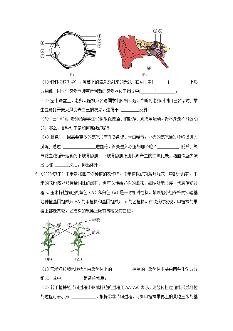 2024年会考生物真题题源解密（全国通用）-题型02 识图填空（原卷版+解析版）03