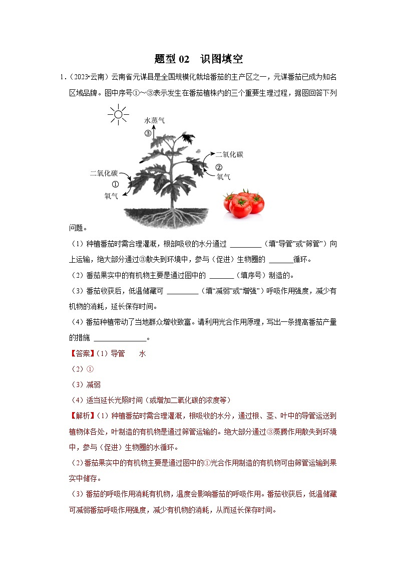 2024年会考生物真题题源解密（全国通用）-题型02 识图填空（原卷版+解析版）01