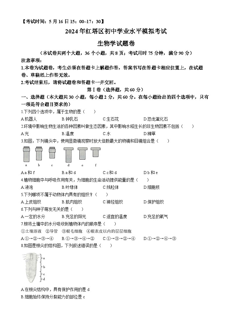 2024年云南省玉溪市红塔区中考二模生物试题01