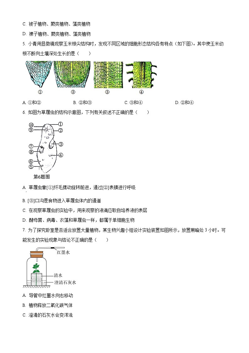 2024年山东省聊城市莘县九年级二模生物试题（原卷版）第2页