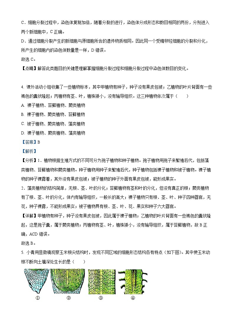 2024年山东省聊城市莘县九年级二模生物试题（解析版）第3页