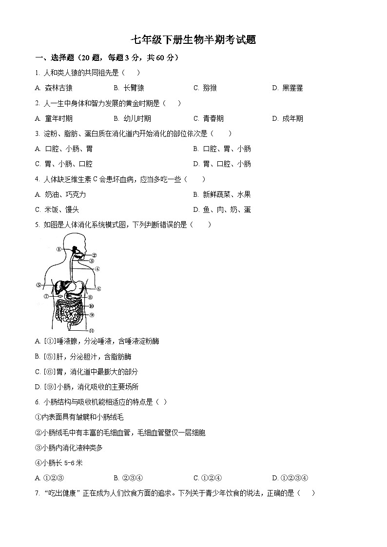 四川省泸州市江阳区2023-2024学年七年级下学期期中生物试题（原卷版）第1页