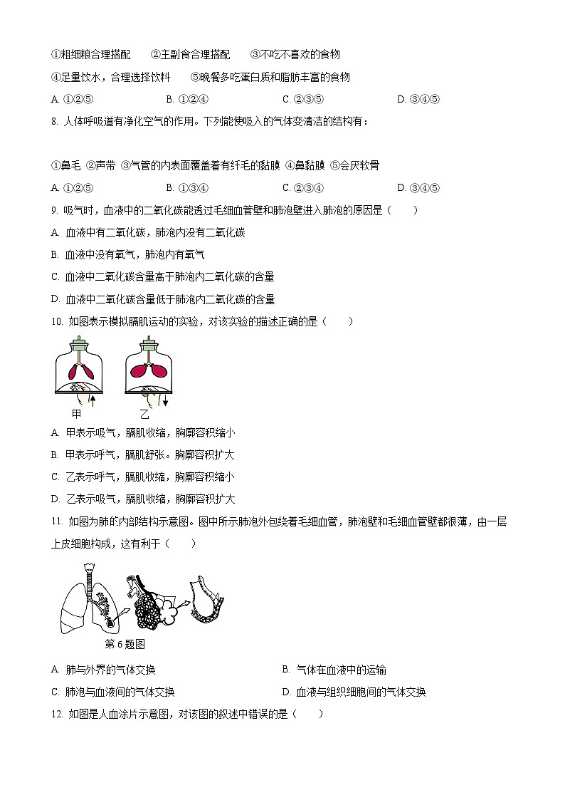 四川省泸州市江阳区2023-2024学年七年级下学期期中生物试题（原卷版）第2页