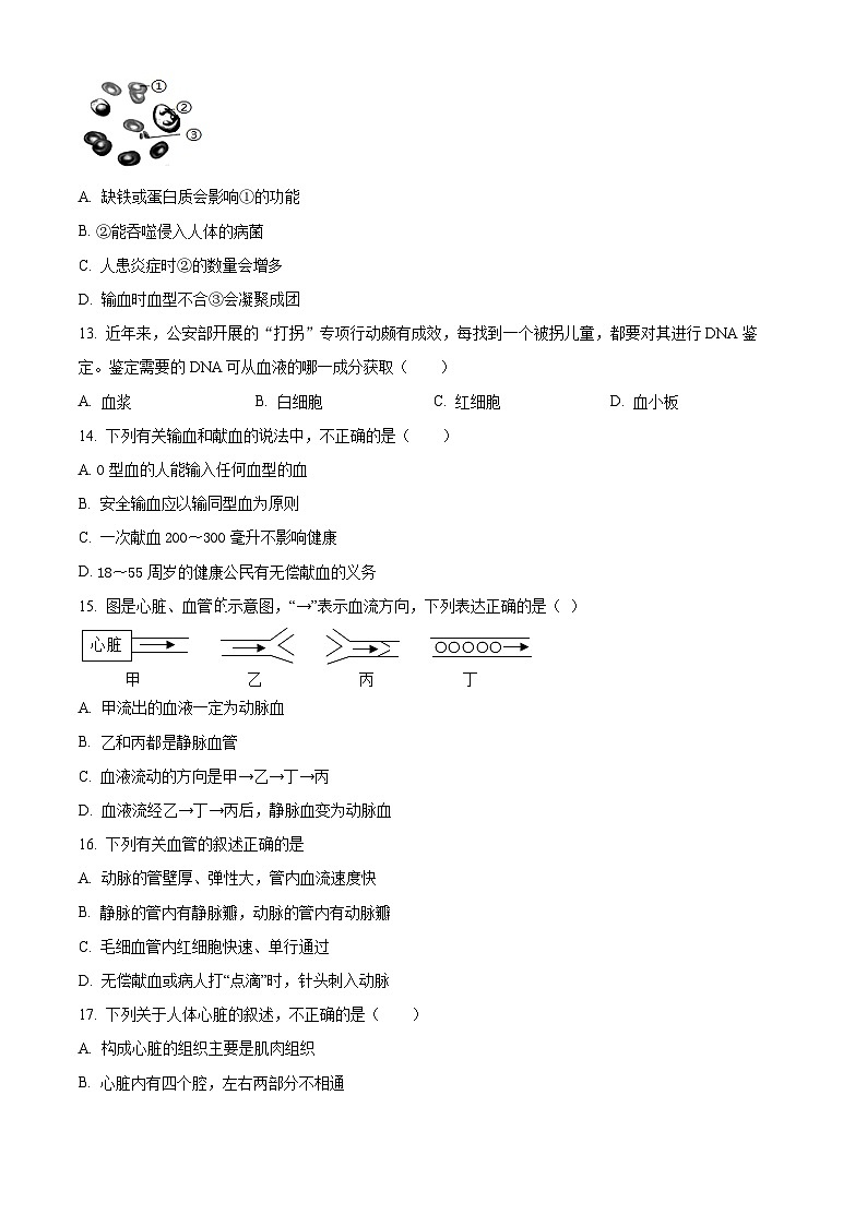 四川省泸州市江阳区2023-2024学年七年级下学期期中生物试题（原卷版）第3页