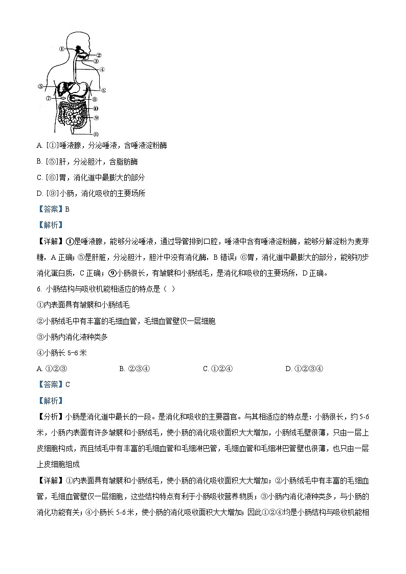 四川省泸州市江阳区2023-2024学年七年级下学期期中生物试题（解析版）第3页