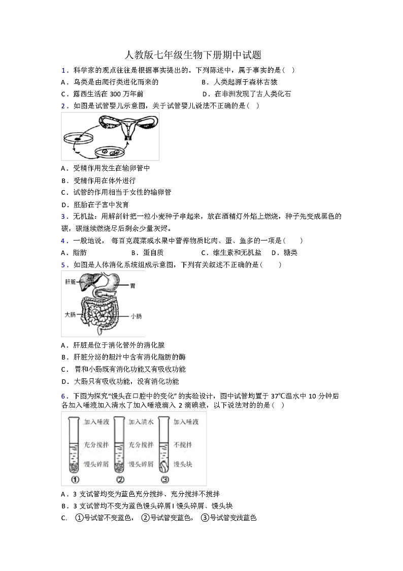 人教版七年级生物下册期中试题（解析版）第1页